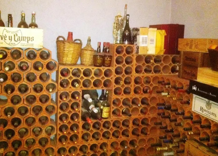 La Seu La Seu d'Urgell